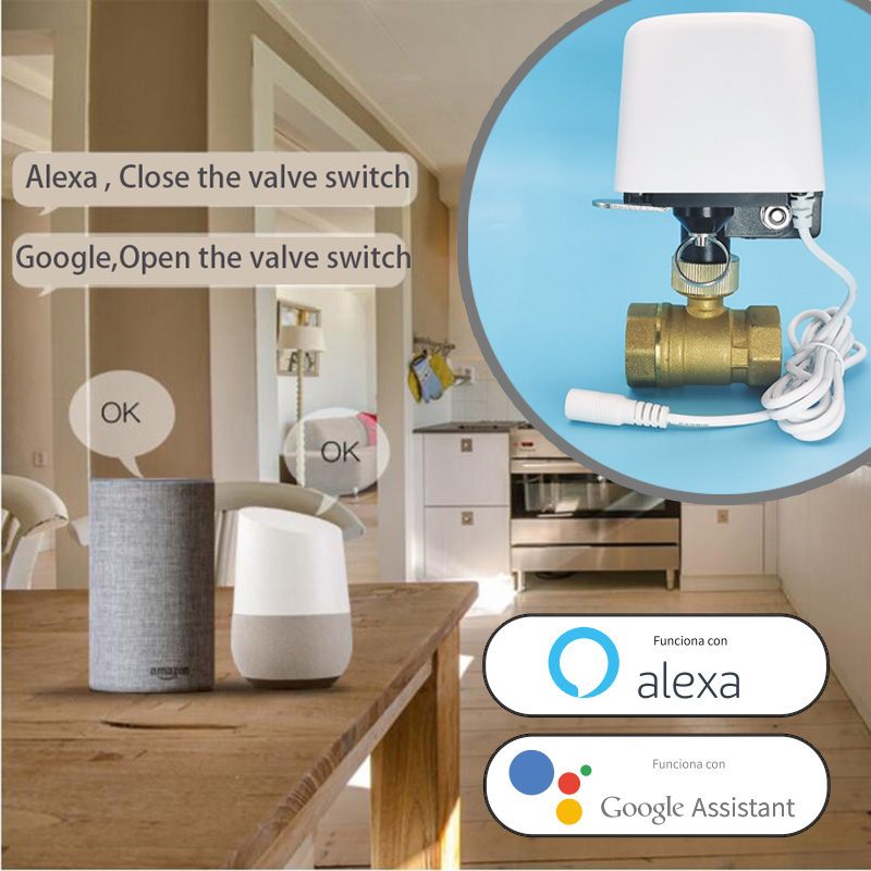 WIFI Smart Tuya Garden Waterin - Smart Garden Tap Timer recension och pris