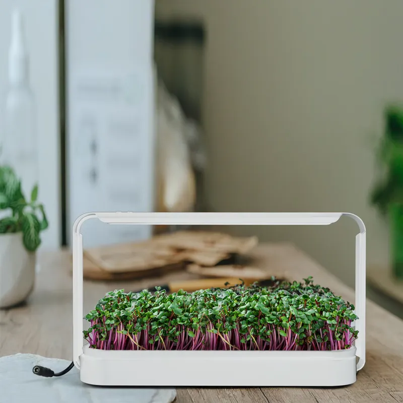 Indoor Herb Garden Grow Light  - Smart Garden Ideas recension och pris